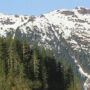 Alaskan Sitka Spruce Soundboards